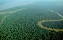 Três tipos do novo coronavírus já circularam na Amazônia, revela Fiocruz