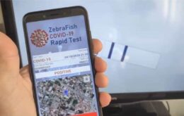 Brasileiros usam peixes para criar app de teste rápido para Covid-19