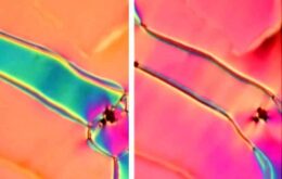 Cientistas descobrem novo estado de cristais líquidos