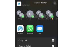 WhatsApp para iOS ganha novidades na versão beta