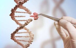 Cientistas encontram forma de editar DNA mitocondrial