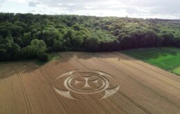 Símbolo gigante em plantação intriga franceses; confira vídeo