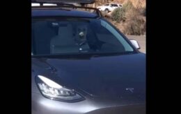 Vídeo mostra cachorro ‘dirigindo’ um Tesla para buscar seu dono
