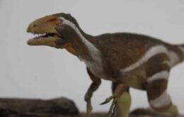 Dinossauro carnívoro ‘nascido do fogo’ é descoberto no Ceará