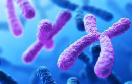 Cientistas sequenciam completamente um cromossomo humano