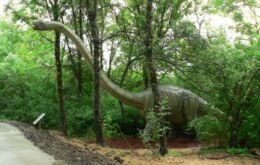 Mais de 50 ‘dinossauros’ em tamanho real vão a leilão no Canadá