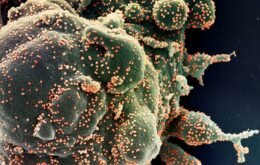 USP investiga possíveis casos de reinfecção pelo novo coronavírus