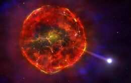 Estrela descoberta por cientistas brasileiros ‘sobrevive’ a uma supernova