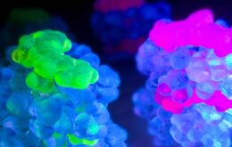 Cientistas criam o material mais fluorescente já feito na história