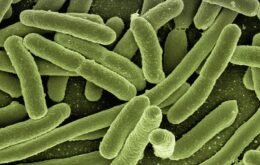 Bactérias se tornam mais resistentes no espaço; entenda o motivo