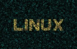 Linux completa 29 anos