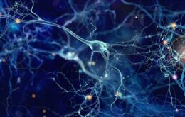 Neurônios podem se adaptar para resistir a doenças graves, diz estudo