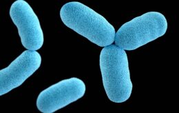 Bactéria vaza de laboratório e infecta mais de 3 mil pessoas na China