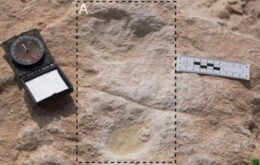 Pegadas humanas de 120 mil anos são descobertas na Arábia Saudita