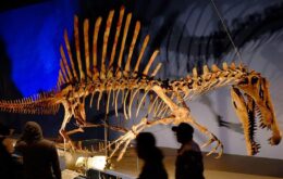 Descoberta confirma que o Espinossauro era um predador aquático