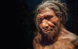 Genes neandertais podem aumentar risco de contração e complicações da Covid-19