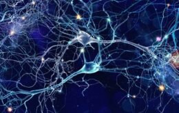 Cientistas encontram neurônios em crânio de vítima do Vesúvio