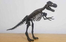 Recorde: fóssil de T-Rex é vendido por US$ 31,8 milhões