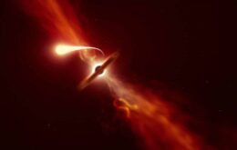 Astrônomos observam pela primeira vez estrela ‘espaguetificada’ por buraco negro