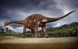 Inédito: cientistas brasileiros encontram parasitas em ossos de dinossauro