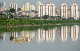 Estatal testará máquina para capturar pernilongos em São Paulo