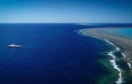 Australianos descobrem recife de corais com 500 m de altura