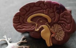 Covid-19 pode afetar lobo frontal e comprometer funções cerebrais