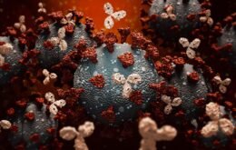 Estudo reforça imunidade duradoura com células T após infecção por Covid-19