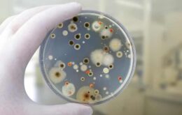 Técnicas inéditas são usadas para encontrar novas espécies de micróbios