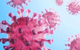 Estudo revela novas características de infecção e mutação do Sars-Cov-2