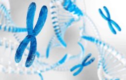 Mapeamento 3D mostra a verdadeira forma dos cromossomos