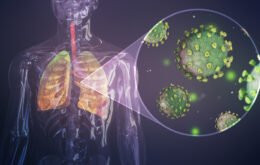 Pesquisadores brasileiros descobrem potencial mecanismo da Covid-19 nos pulmões