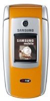 Samsung SGH-M300